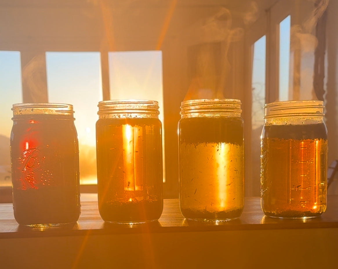 How To Make Herbal Infusions Free Guide