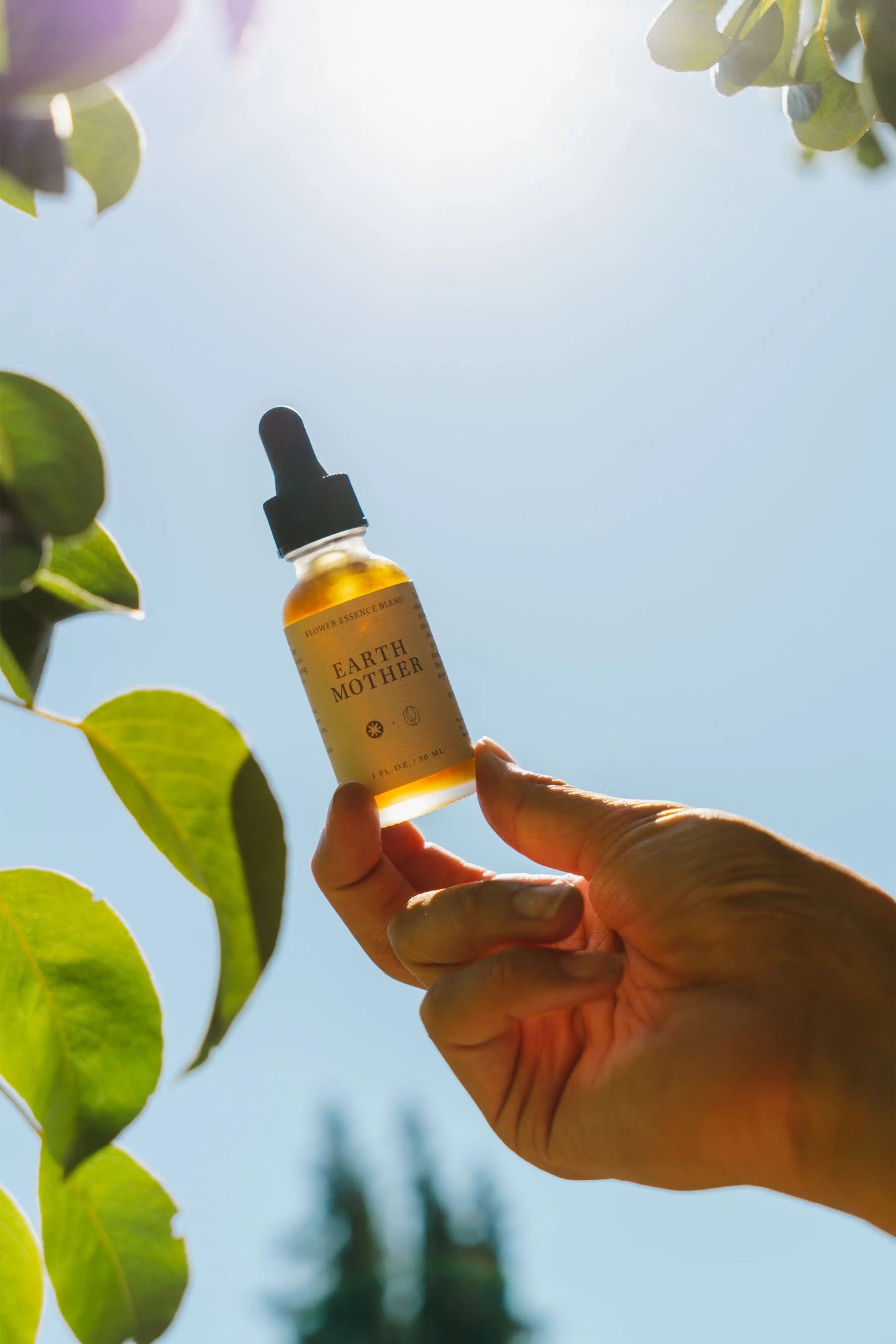 Moon Canyon Flower Essence Blend